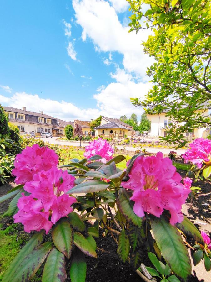 Penzion Lucs Heľpa Exteriér fotografie